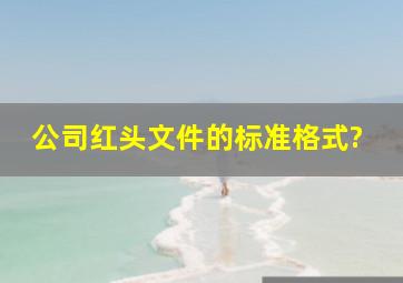 公司红头文件的标准格式?