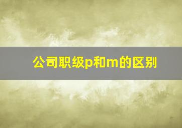 公司职级p和m的区别