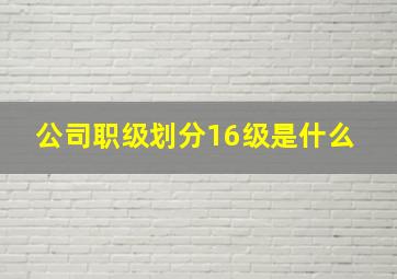 公司职级划分16级是什么 