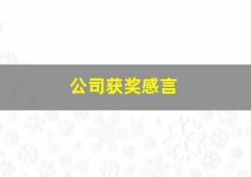 公司获奖感言