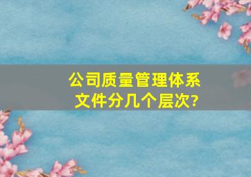 公司质量管理体系文件分几个层次?