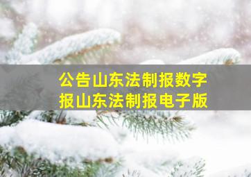 公告山东法制报数字报山东法制报电子版