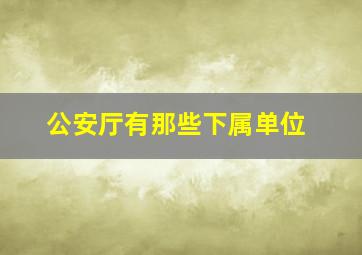 公安厅有那些下属单位