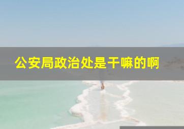 公安局政治处是干嘛的啊 