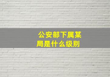 公安部下属某局是什么级别 