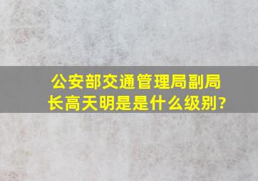 公安部交通管理局副局长高天明是是什么级别?