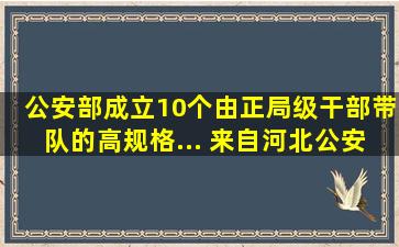 公安部成立10个由正局级干部带队的高规格... 来自河北公安网络...