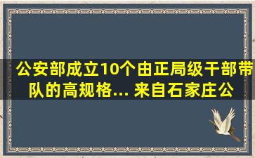 公安部成立10个由正局级干部带队的高规格... 来自石家庄公安网络...