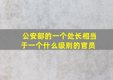 公安部的一个处长相当于一个什么级别的官员 