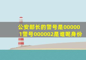 公安部长的警号是000001,警号000002是谁呢身份