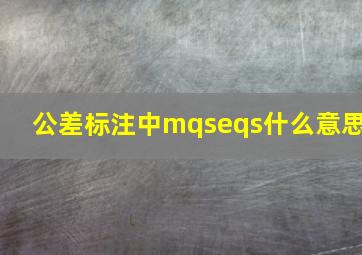 公差标注中mqseqs什么意思