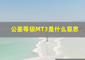 公差等级MT3是什么意思