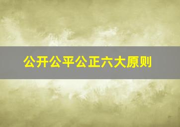 公开公平公正六大原则