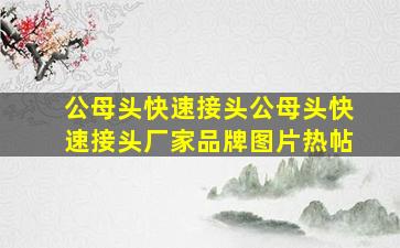 公母头快速接头公母头快速接头厂家、品牌、图片、热帖