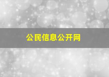 公民信息公开网