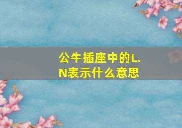 公牛插座中的L.N表示什么意思 