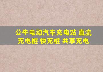 公牛电动汽车充电站 直流充电桩 快充桩 共享充电