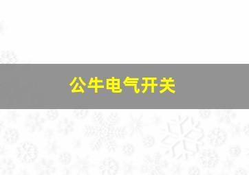 公牛电气开关