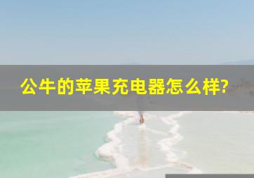 公牛的苹果充电器怎么样?