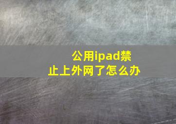 公用ipad禁止上外网了怎么办