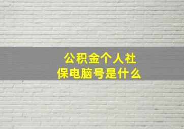 公积金个人社保电脑号是什么