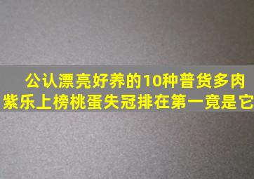 公认漂亮好养的10种普货多肉,紫乐上榜桃蛋失冠,排在第一竟是它