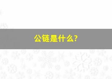 公链是什么?