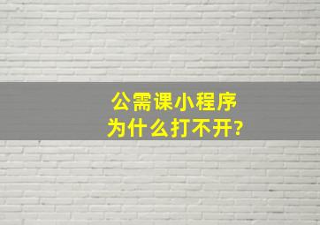 公需课小程序为什么打不开?