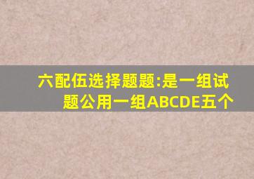 六、配伍选择题题:是一组试题公用一组A、B、C、D、E五个