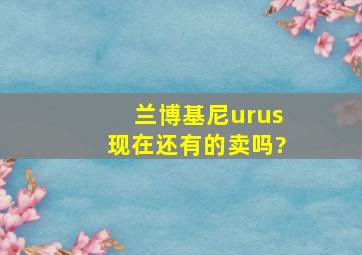 兰博基尼urus现在还有的卖吗?