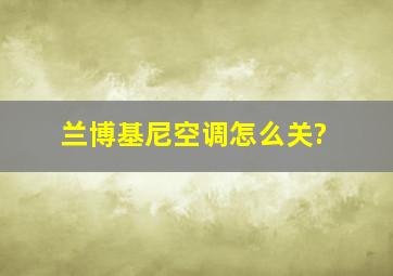 兰博基尼空调怎么关?