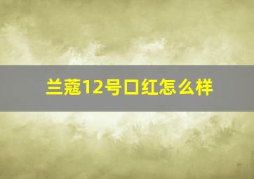 兰蔻12号口红怎么样