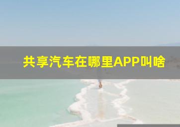 共享汽车在哪里APP叫啥