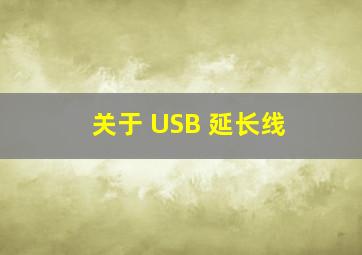 关于 USB 延长线