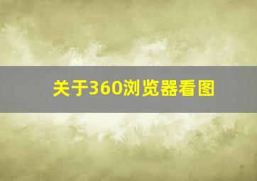 关于360浏览器(看图)