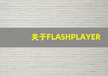 关于FLASHPLAYER