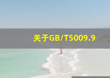 关于GB/T5009.9