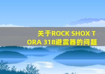 关于ROCK SHOX TORA 318避震器的问题