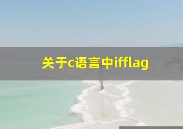 关于c语言中if(flag)