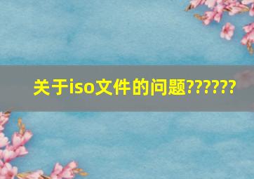 关于iso文件的问题??????