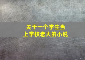 关于一个学生当上学校老大的小说