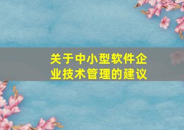 关于中小型软件企业技术管理的建议