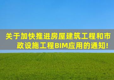 关于加快推进房屋建筑工程和市政设施工程BIM应用的通知!