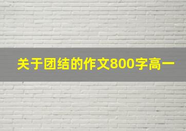 关于团结的作文800字高一