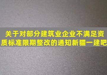 关于对部分建筑业企业不满足资质标准限期整改的通知,新疆【一建吧】