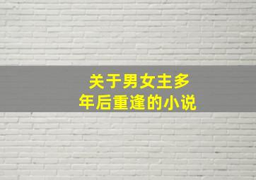 关于男女主多年后重逢的小说