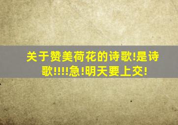 关于赞美荷花的诗歌!是诗歌!!!!急!明天要上交!