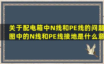 关于配电箱中N线和PE线的问题。图中的N线和PE线接地是什么意思(...