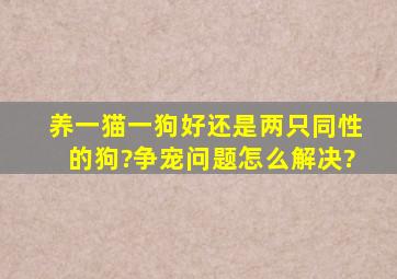 养一猫一狗好还是两只同性的狗?争宠问题怎么解决?