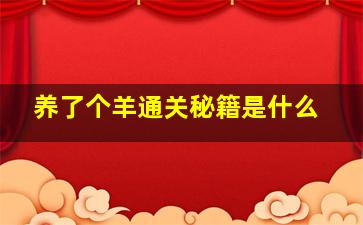 养了个羊通关秘籍是什么